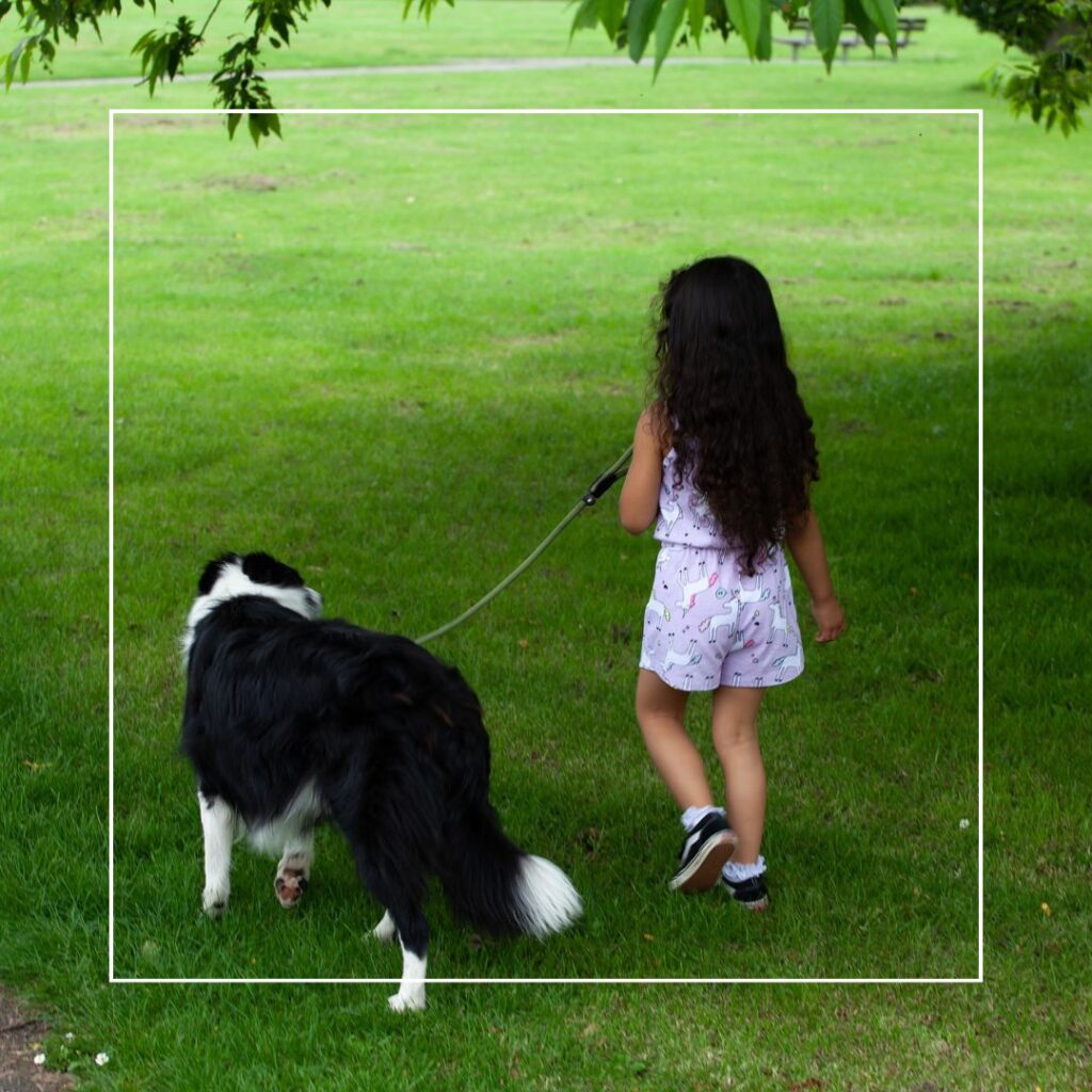 een meisje laat een hond uit in het park