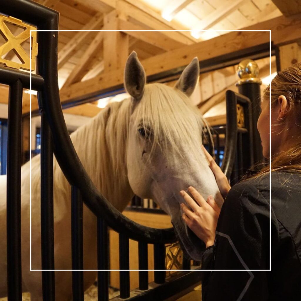 een tiener streelt een paard dat in de stal staat