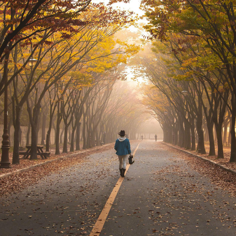 Minder energie verbruiken: foto van een vrouw die op een herfstige straat wandelt