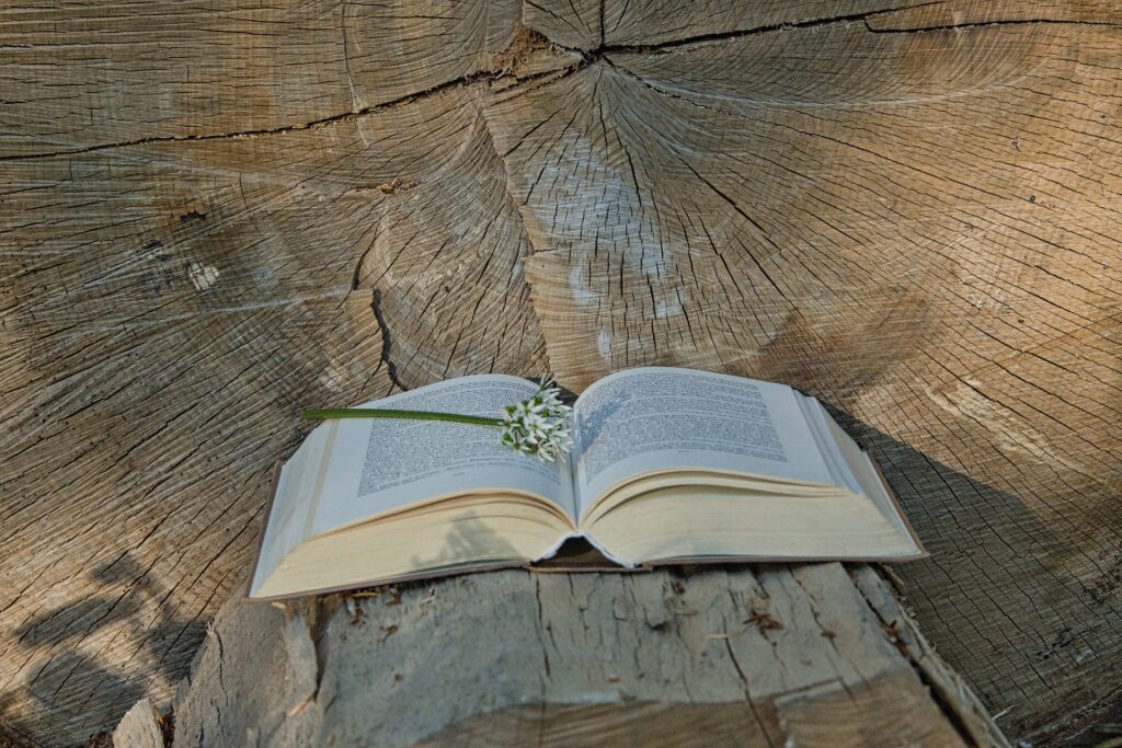 Zelf gelezen: een boek, met een doorgezaagde boom op de achtergrond. 